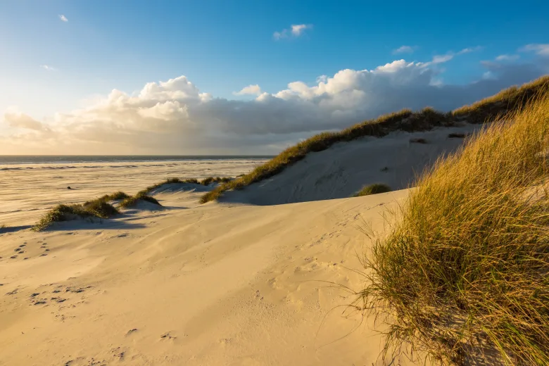 Dunara 05 strand og sanddyner